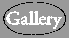 gallerybuton